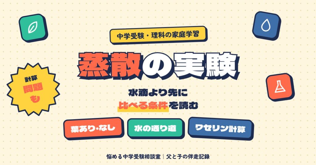 蒸散の実験問題は比べる条件から読む